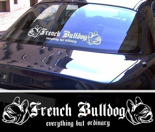 DBSPNCR French Bulldog XXL Aufkleber - Französische Bulldogge - schwarz oder weiß NEU (weiß außenklebend)