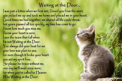 Cat Bereavement Memorial Fridge Magnet Plaque Sympathy Gift - Waiting at The Door