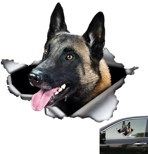 Adesivo per auto belga Malinois, 20 cm, 3D strappato impermeabile adesivi auto, con cane da pastore belga, adesivo riflettente