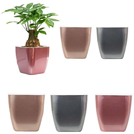 Gcroet Self Watering Planters Plastic Flower Pots for Indoor Plants Orchid African Violet Home Decoration