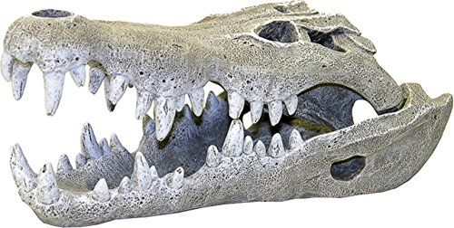 Blue Ribbon Rosewood 91354 Aquarium-Deko Nilkrokodil-Schädel - Small