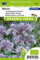 Phacelia Tanacetifolia, plante mellifère - Graines Biologiques