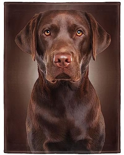 Zomer Kuscheldecke Flauschig Decke 150x200 cm Wohndecke Couchdecke Mikrofaser Sofaüberwurf Tagesdecke weiche warme Sofadecke mit Labrador Braun Motiv