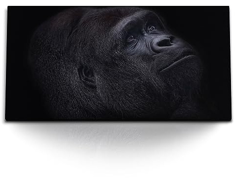 Paul Sinus Kunstdruck Bilder 120x60cm Gorilla Porträt Schwarz Silberrücken Tierfotografie