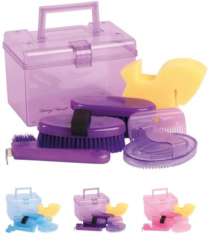 netproshop Mini Gift Box Putzbox mit verschiedenen Bürsten in gleicher Farbe ca.20x13x14cm, Farbe:Lila