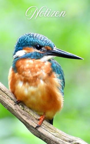 Eisvogel - Notizbuch mit 100 weißen Seiten mit hellem Punktraster im Taschenbuchformat (5 x 8 Zoll; ca. 12,7 cm x 20,3 cm): Mit einem wunderschönen Covermotiv: Eisvogel