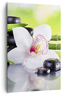 Wandbilder Dekoration Wohnzimmer blume orchidee Bilder auf Leinwand 80x120cm Leinwandbild mit Rahmen Schlafzimmer Küche Deko Wand Kunstdruck Art Groß XXL Wanddeko Bild Wall Decor Canvas PA80x120-3659