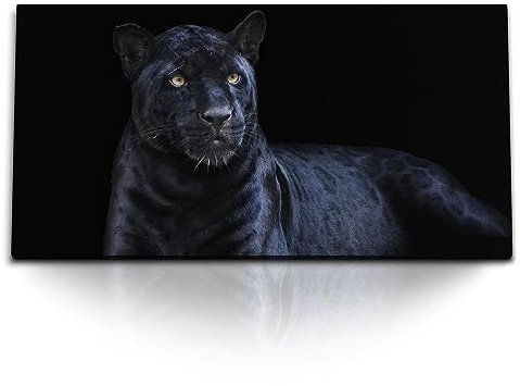 Paul Sinus Kunstdruck Bilder 120x60cm Schwarzer Panther Jaguar Tierfotografie Raubkatze