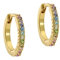Ted Baker Heplie Crystal Hoop Earrings (14mm outside diameter) For Women (Gold/Rainbow Pastel Crystal)