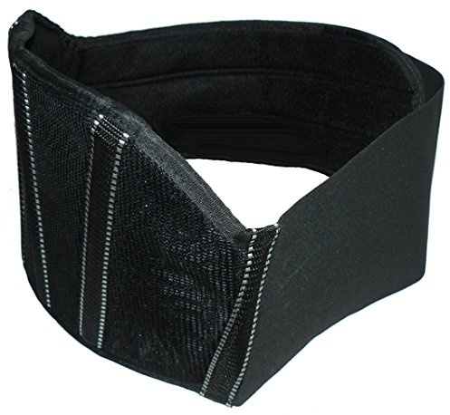 Protectwear Nierengurt mit Klettverschluß Ng - XL, Black, Größe XL/54