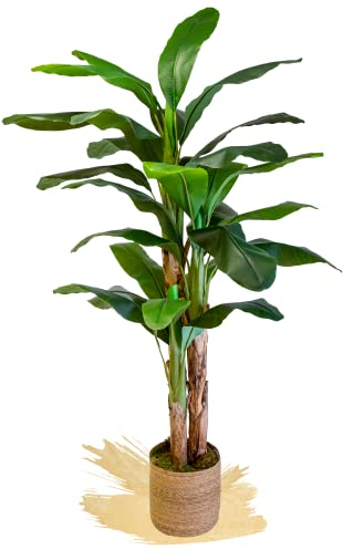 Maia Shop | Künstliche Bananenpflanze | Kunstpflanze | Maße: 210 x 110 cm | Große künstliche Pflanze | Fake Plant | Plastik Pflanze | Deko | Deko Wohnzimmer