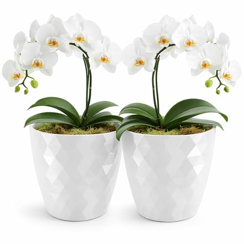 PECZEKO glänzender Blumentöpfe, Kunststoff-Pflanzentöpfe, dekorativer Blumentopf für große und kleine Blumen, 2er-Set Blumentöpf, Pflanztopf, Kräutertopf, (2 Pack) Weiß, ø 14 cm