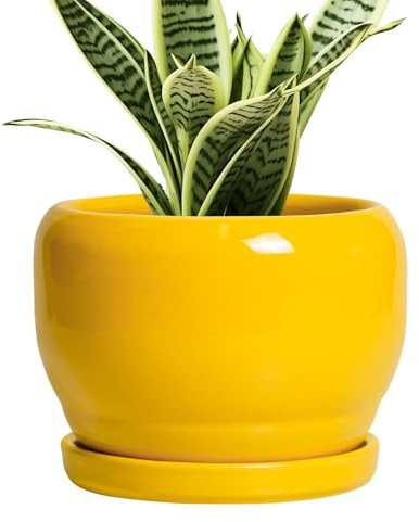 SQOWL 6 Inch Plant Pot - Ceramic Planter with Drainage Hole and Saucer, Modern Ceramic Flower Pots for Indoor Plants Outdoor, Round Decorative Small Planter, Desk Decor, Garden Gifts, Yellow