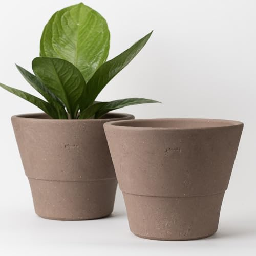 Nipots 2 Pack Terracotta Clay Plant Pots with Drainage, Breathable Water-Absorbing Planters for Healthy Roots, 8 Inch Deep Flower Pots for Gardening, Indoor and Outdoor, Chocolate
