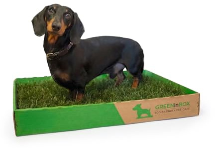 GreenInBox® Zolla in Vera Erba – Lettiera Naturale per Training Cucciolo, Cani Piccoli. 60x40 cm
