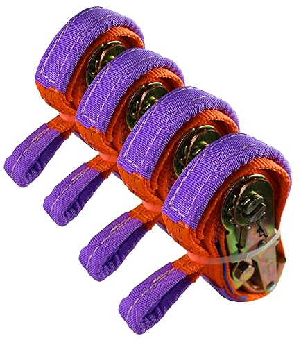 4 Stück Spanngurte Zurrgurte 2t 2to 2000 kg Radsicherung Verzurrsystem Ladungssicherung orange