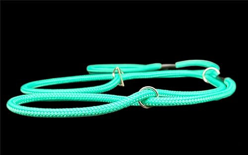 No More Pulling! Anti Pull Lead Field Figure 8 / Halter/Head Collar One Size Fits All Super Soft Braided Nylon Comfortable Make Your Walks More Enjoyable -Instructions Included (Mint Green)