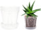 AONYIYI Pot à orchidée avec soucoupe - 14 cm