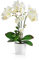 PASCH® Orchideen künstlich in Hochglanz-Keramiktöpfen (46cm) | Kunstblumen im Topf | Kunstblumen wie echt | künstliche Orchideen im Topf (Weiß)