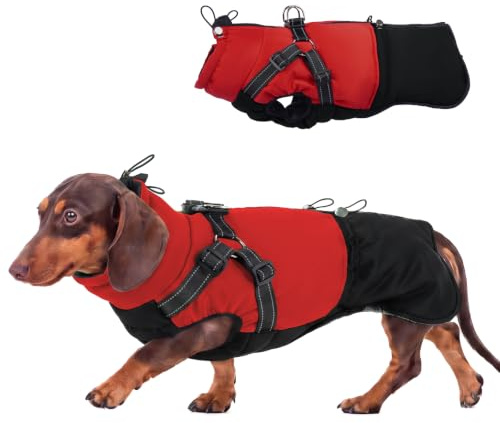 Hjumarayan Hundemantel für Kleine Hunde, Hundemantel mit Geschirr Wintermantel Klein Hunde Mantel Gefüttert, Hundejacke Wasserabweisend und Warm Mantel Winter, Rot S
