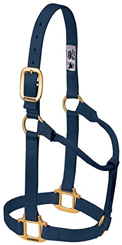 Weaver Original Pferdehalfter, Nylon, Nicht verstellbar, mittelgroß, Marineblau