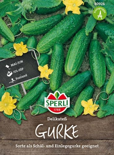 Sperli Salatgurke Delikateß