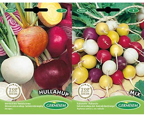 Germisem graines Betteraves rondes en mélange HULLAHUP+Radis rond en mélange coloré