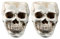 TOYANDONA 2 Pcs Resin Spooky Human Skull Ashtray, Flower Pot Planter Container Skulls& Skeletons Figurines Novelty Toy Comedy Spoof Human Prop for Halloween Home Office Desk Decorations
