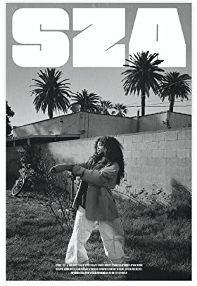 Sza Poster CTRL Poster Leinwand Poster Schlafzimmer Dekor Sport Landschaft Büro Zimmer Dekor Geschenk Rahmen Stil 30 x 45 cm