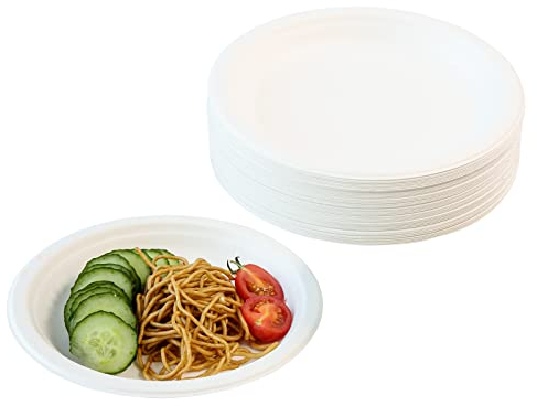 DHAIQC Lot de 60 Assiettes en Carton Compostables 17,8cm, Assiette Jetable Durable Assiette en Bagasse Naturelle, Assiettes de Fête Vaisselle Jetable Biodégradable (Blanc, 60 pièces-17,8cm)