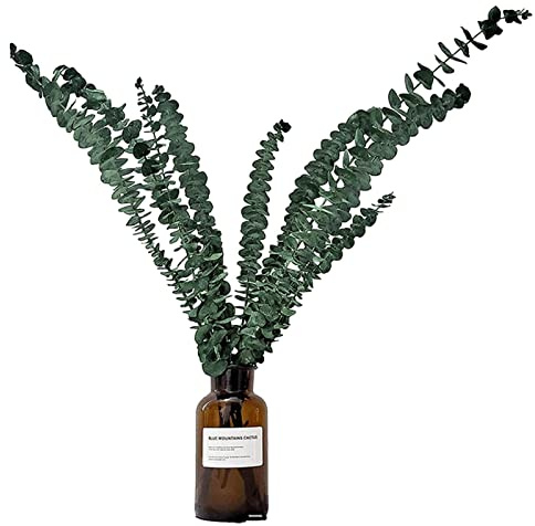 Eucalyptus Shower Plant Natural, 10 Eucalyptus Leaves, Shower Eucalyptus Leaves, Eucalyptus Branches Greenery Plants,Light up Mouth for Flower Arrangement, Wedding Decoration and Home Decor