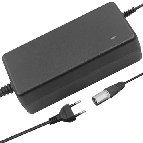 Hauteook 29,4V 2A Li-Ion Caricabatterie con Testa XLR a 3 Pin Compatibile con Bicicletta elettrica Scooter Elettrico Adattatore di Alimentazione 24V 7S