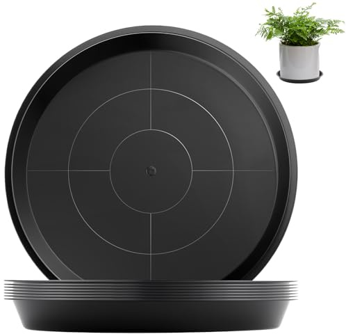 Sturiz 8 Pièces Coupelle Pot de Fleur Soucoupe Sous Coupe Dessous Pot Fleur 14 Cm Rond Noir Soucoupes pour Pots de Fleurs Soucoupe Jardiniere pour Plantes D'Intérieur et D'Extérieur