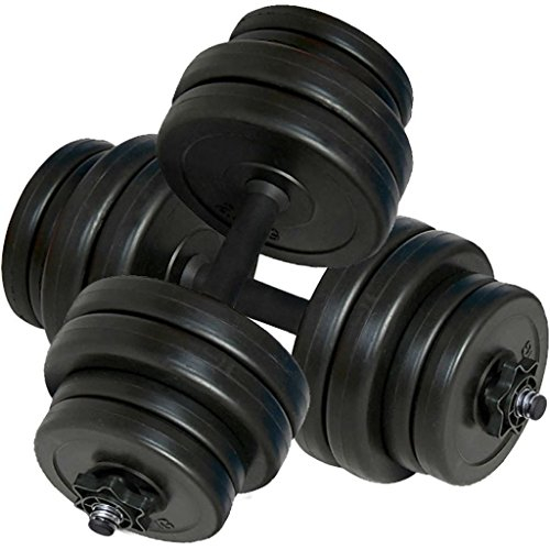 vidaXL 2X Hantel 30 kg Hantelset Kurzhanteln Hantelstange Hanteln Gewichte Set