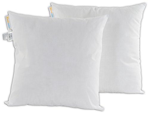 Kissenoutlet24 2er Set 40x40 cm Premium Kissenfüllung Füllkissen Dekokissen Sofakissen Cocktailkissen Kopfkissen Öko-Tex Standard 100 Made IN Germany
