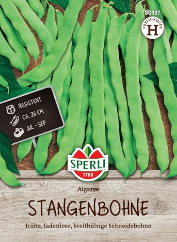 Sperli Stangenbohnensamen Algarve 80337, Gemüsesaat | Breithülsig, ca. 26 cm