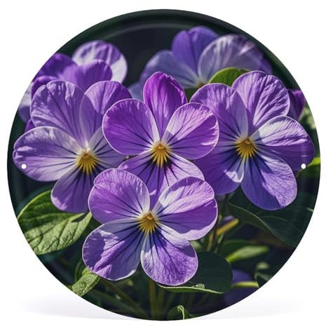 JTKLQBN Rundes Eisen-Wandbild, Motiv: Veilchen in Blüte, 30 x 30 cm, bedruckt, rundes Kunstbild, moderne Eisenplatte, Wanddekoration für Zuhause, Wand, Badezimmer, Dekor