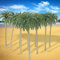 20 palme da cocco per valorizzare paesaggi modello ideale per diorami