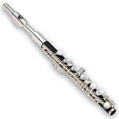 JPC 1000 Flûte Piccolo résine tête maillechort