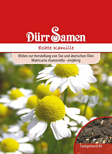 Kamille Samen Echte Kamillesamen ca 50 Korn Heilkräuter Kräutersamen Heilpflanze Saatgut Balkon Garten Hochbeet Kübel Dürr Samen