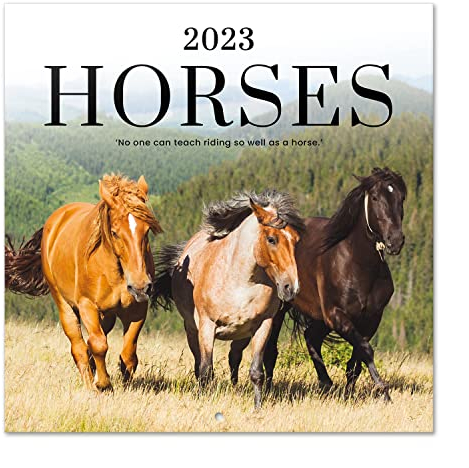 Grupo Erik Wandkalender 2022 2023, Pferde 2023 Wandkalender, Kalender zum Aufhängen von September 2022 bis Dezember 2023, offizielle Lizenz, FSC zertifiziert, CP23003