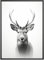 MJ-Graphics - Natur Poster mit Hirsch - Schwarz Weiß Bild | Wandbild Din A3 | FineArt Kunstdruck ohne Rahmen