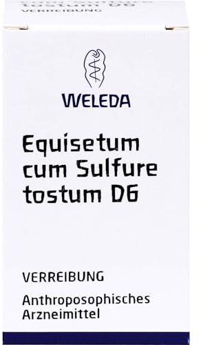 Equisetum Cum Sulf. Tost. D6 Trituration 20 g