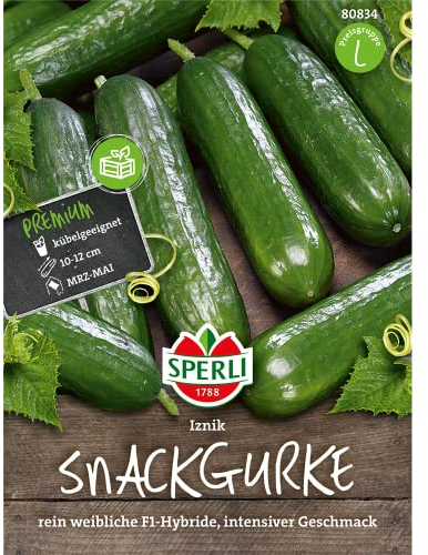 Gurke Iznik F1 (Cocktailgurke)