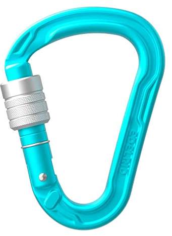 EDELRID Unisex – Erwachsene HMS Strike Screw Carabiner, Icemint, one Size