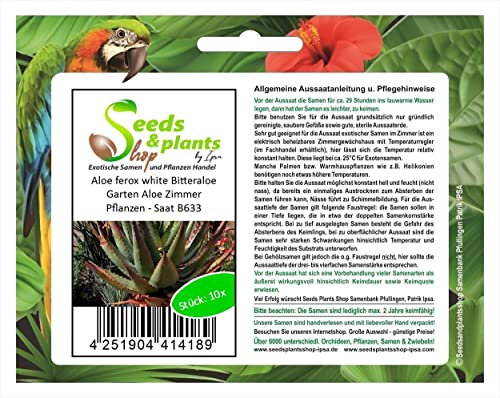 Stk - 5x Aloe ferox white Bitteraloe Garten Aloe Zimmer Pflanzen - Saat B633 - Seeds & Plants Shop by Ipsa