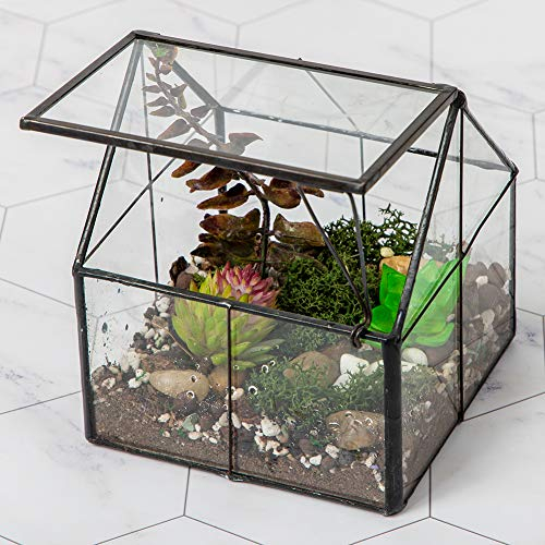 Ferrisland Terrario in vetro Wardian per piante grasse, piccolo vaso per piante grasse, con porta, decorazione da tavolo, regalo fai da te, 12,7 x 10,9 x 10,9 cm