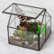Ferrisland Terrario in vetro Wardian per piante grasse, piccolo vaso per piante grasse, con porta, decorazione da tavolo, regalo fai da te, 12,7 x 10,9 x 10,9 cm