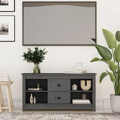 TJROO TV-Möbel für Schlafzimmer, 103 x 36,5 x 52 cm, TV-Ständer, TV-Tisch mit 2 Schubladen und 4 Fächern, niedriger Unterschrank, TV-Ständer, grau, Hi-Fi-Möbel, Kiefer-Massivholz