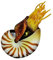 MAGICLULU Fischtank Dekore Muscheln Nautilus-Muschel-Dekoration Aquarium Produkte Groß Dekorationen Für Aquarien Nautilus-Schale Hülse Muscheldekor Aquarienverzierung